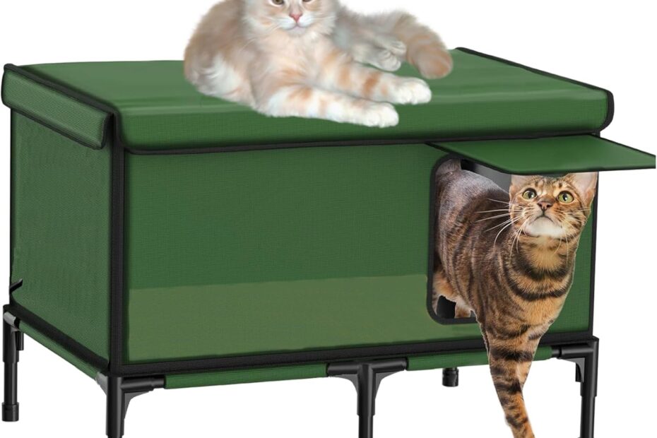 Warmth & Comfort: The Best Heated Cat Shelter for Outdoor Cats