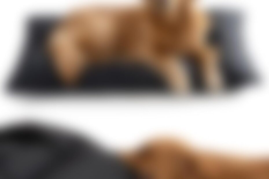 Why You Should Think Twice Before Buying 'Don't Buy'