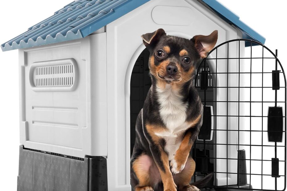 Your Pup's Perfect Retreat: Review of the Insulated Dog House for All Sizes!