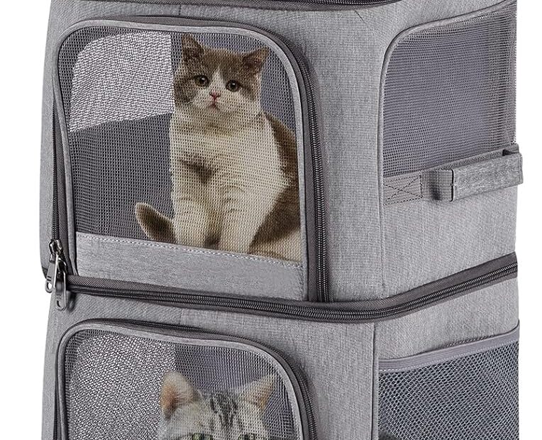 Adventure-Ready: Review of the Double Pet Carrier Backpack with Wheels for Your Furry Friends!