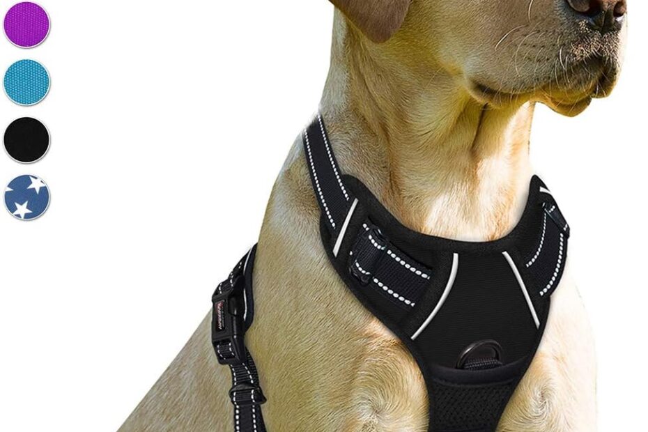 BARKBAY No Pull Dog Harness: The Ultimate Control for Large Dogs!