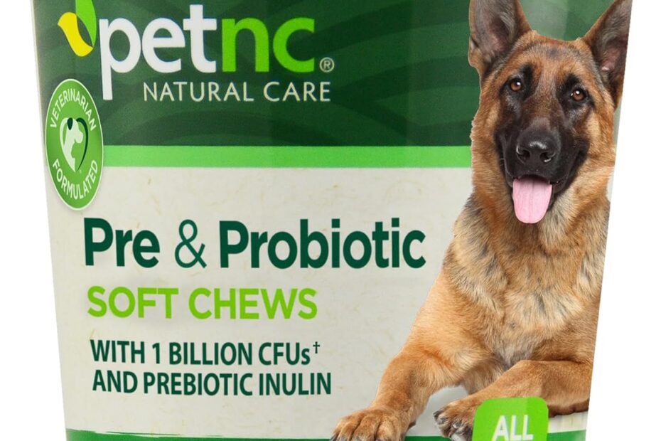 Boost Your Dog’s Gut Health: PetNC Natural Care Liver Flavor Probiotic Chews Review