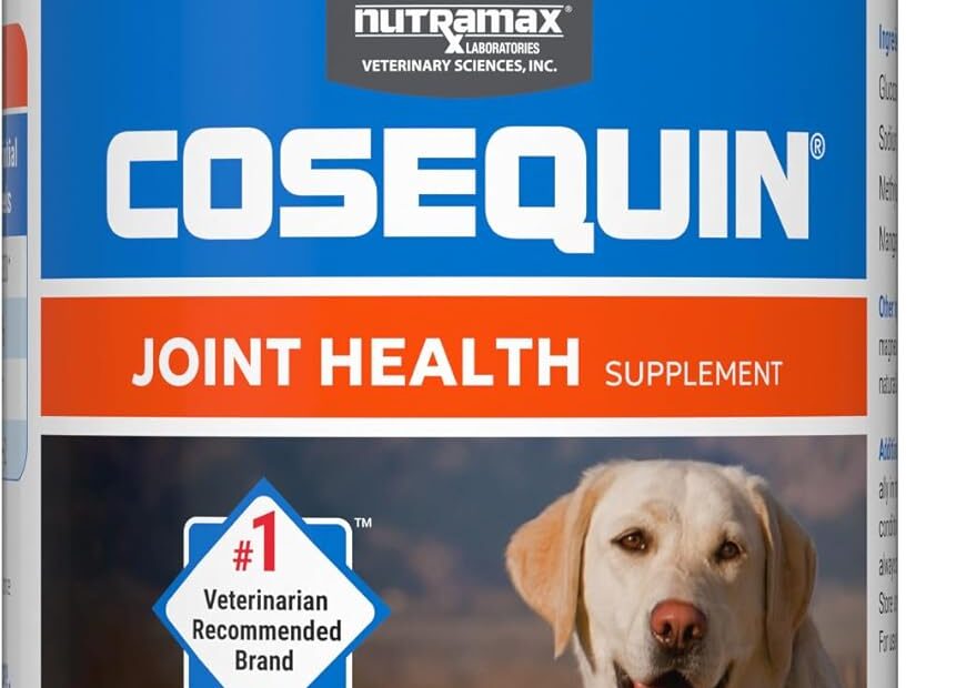 Boost Your Dog's Joint Health: Nutramax Cosequin Review & Benefits!