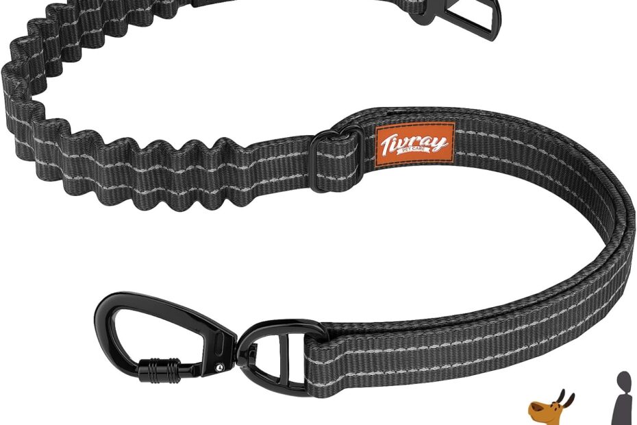 Buckle Up Your Pup: The Ultimate Dog Seat Belt Review!