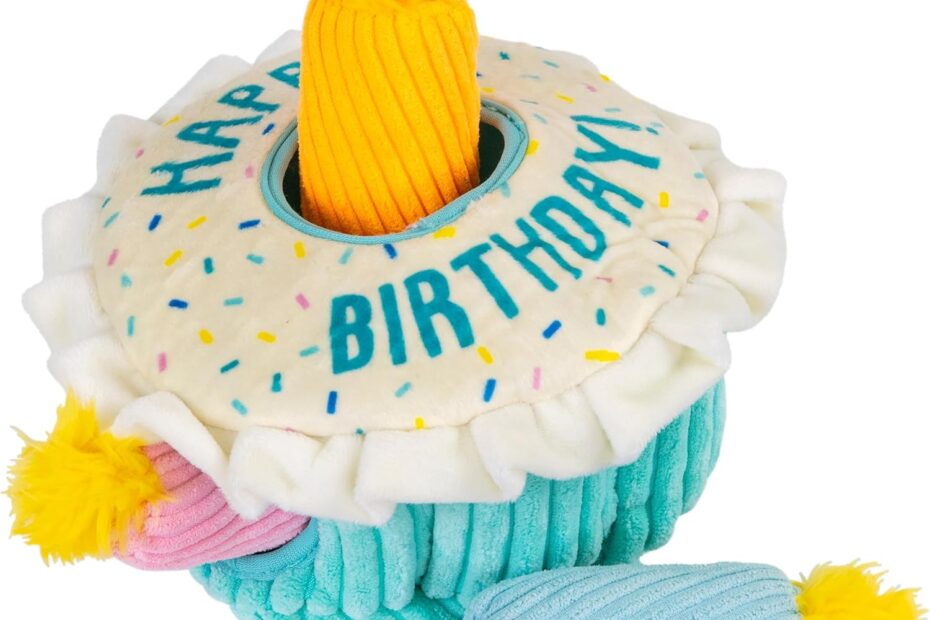 Celebrate Fido's Special Day with the Outward Hound Hide A Birthday Cake Toy!