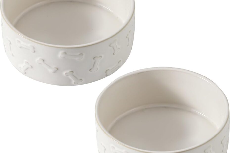 Charming and Functional: The UBEE Ceramic Dog Bowl Set Review