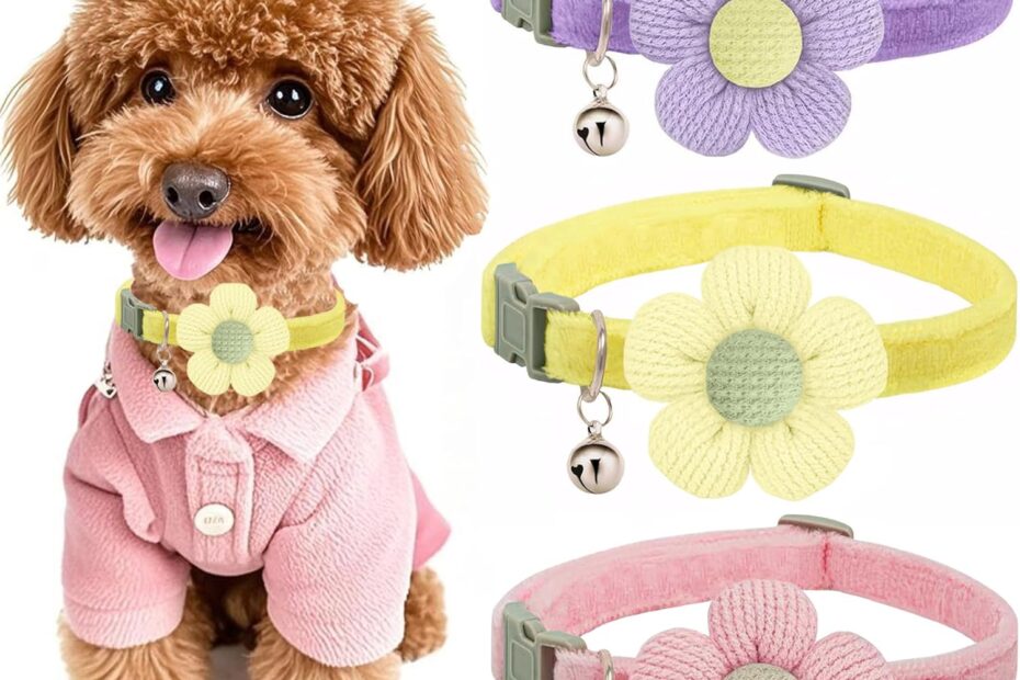 Charming Pet Style: The Best Small Dog Collar with Flower for Your Furry Fashionista!