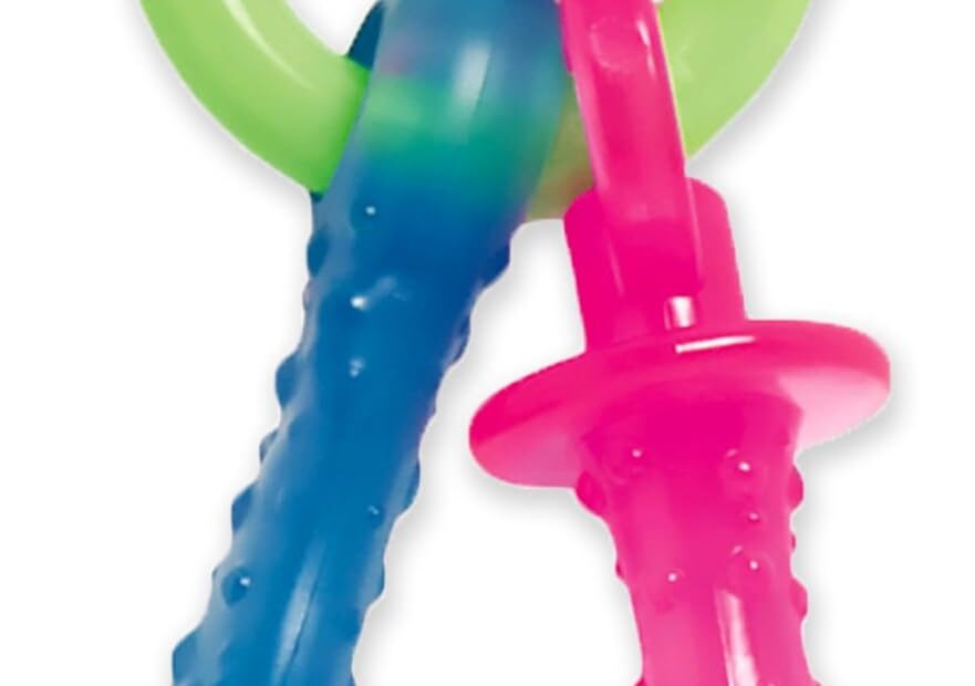 Chew, Savor, Play: Nylabone Puppy Pacifier Review for Happy Teething