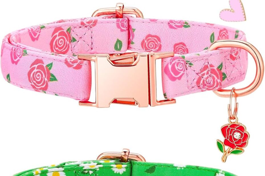 Chic & Charming: Review of the 3 Pack Floral Dog Collars for Your Stylish Pup!