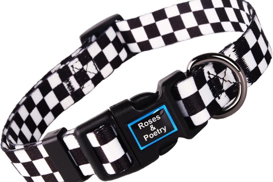 Chic & Durable: The Roses&Poetry Checkered Dog Collar Review!