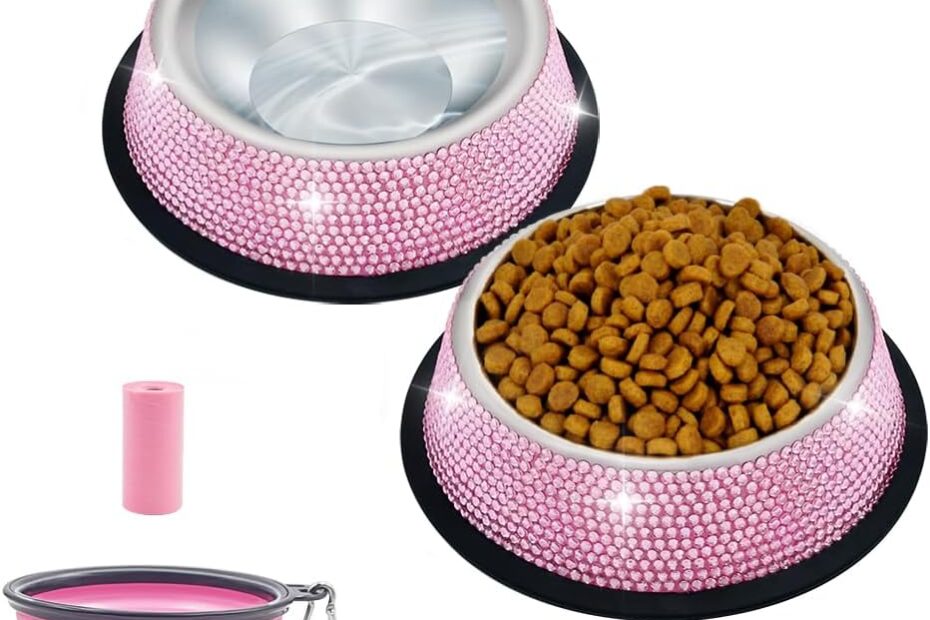 Chic & Functional: Triumilynn Rhinestone Cat and Dog Bowls Review