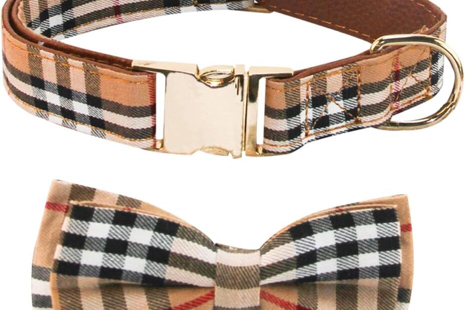 Classy Canine Style: The Yizepet Dog Collar with Bow Tie Reviewed!
