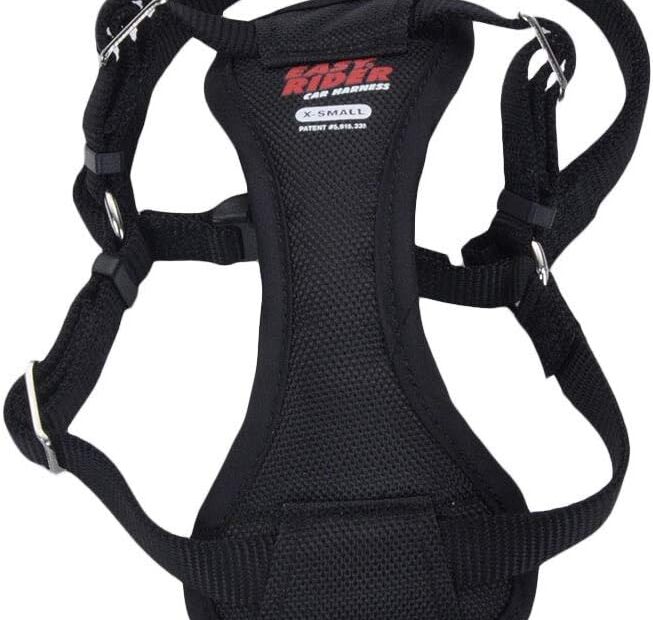 Coastal Easy Rider: The Ultimate Adjustable Dog Car Harness Review