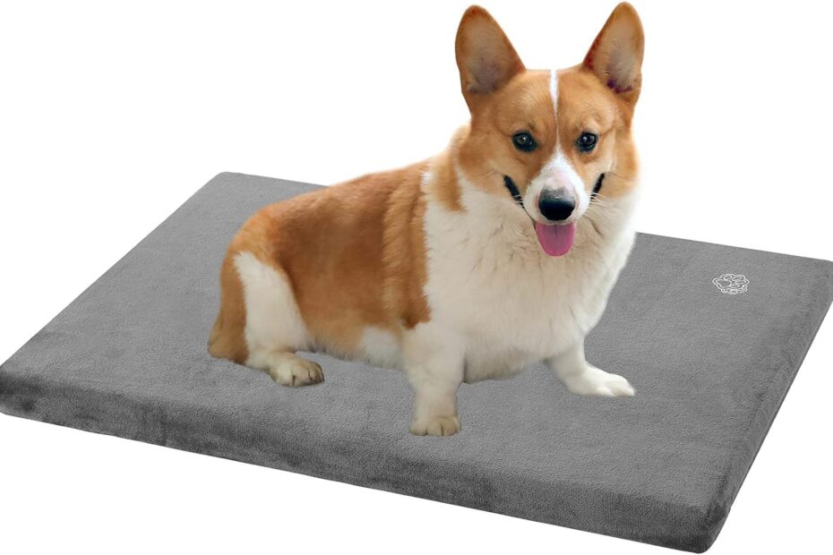 Comfort and Style: The Ultimate Review of EMPSIGN Reversible Dog Bed Mat