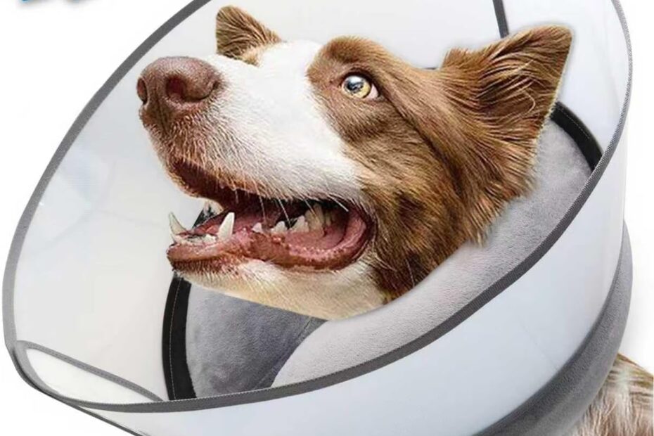 Comfort Meets Function: The 2-in-1 Inflatable Dog Cone Collar Review