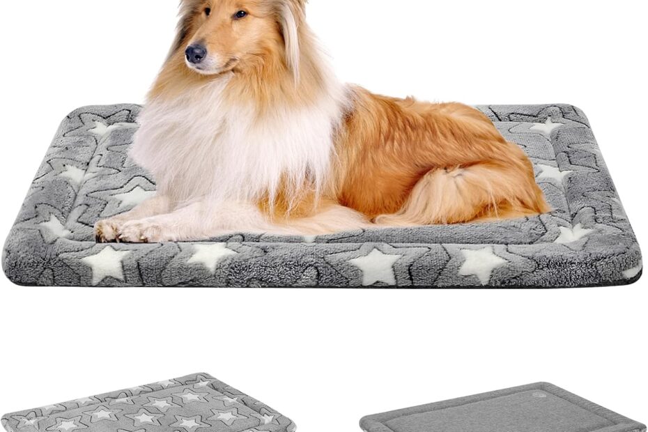 Comfort Meets Style: Review of the EMPSIGN Reversible Dog Bed Mat