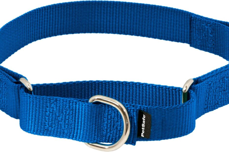 Control and Comfort: Review of the PetSafe Martingale Collar for Your Dog
