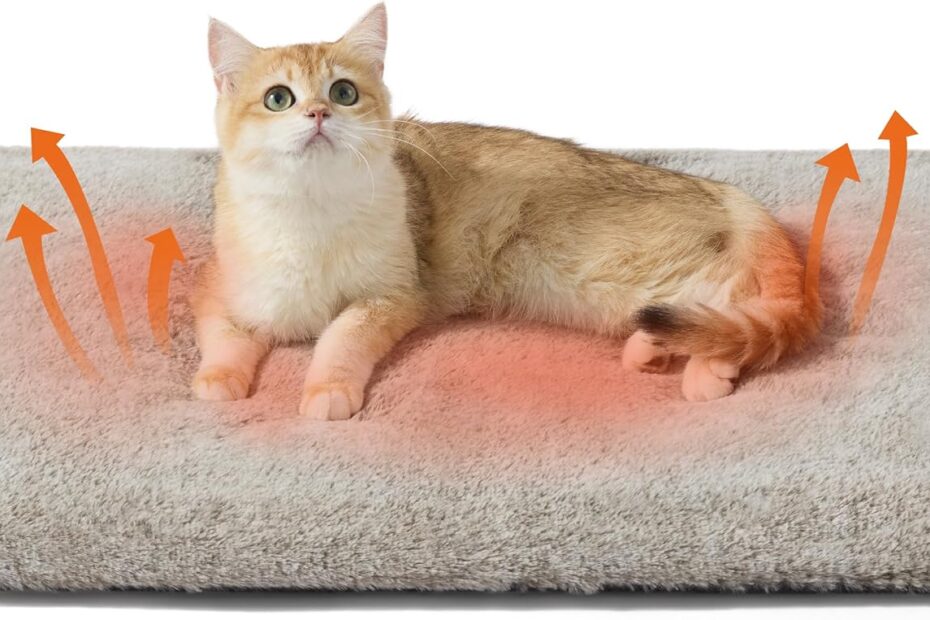 Cozy Comfort: Bedsure Self Warming Cat Bed Review