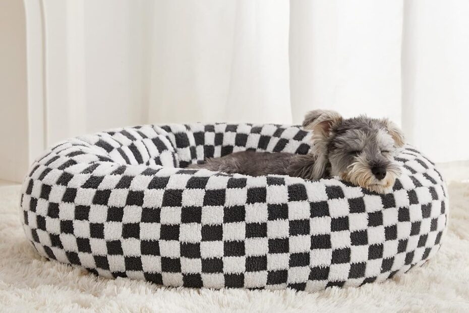 Cozy Comfort: BFPETHOME Donut Dog Bed Review for Happy Pets!