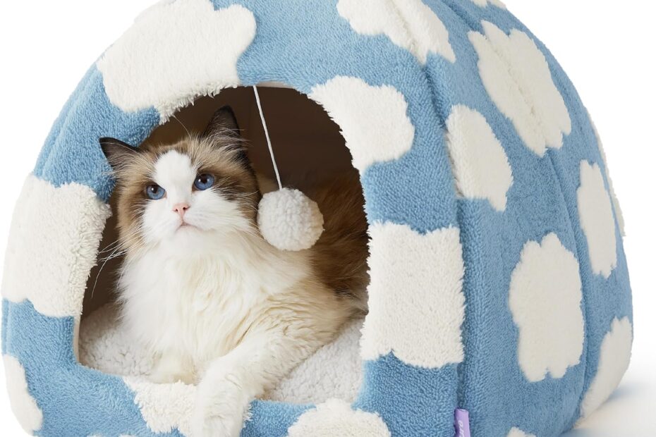 Cozy Comfort: Lesure 2-in-1 Cat Bed Review for Happy Cats and Dogs!