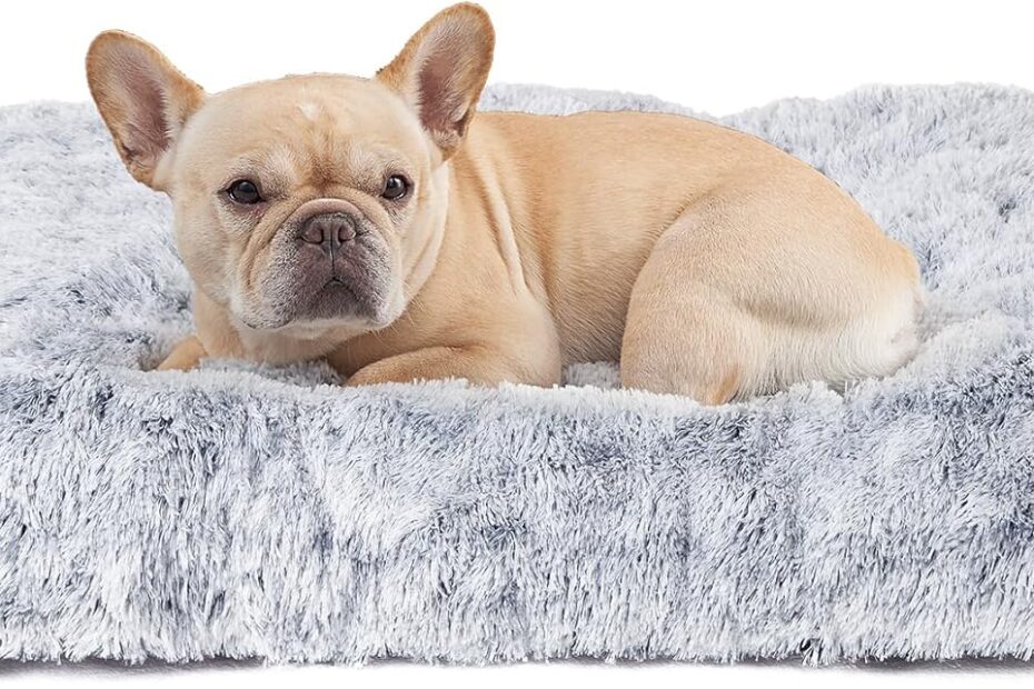 Cozy Comfort: Review of the EHEYCIGA Fluffy Dog Crate Bed for Medium Dogs