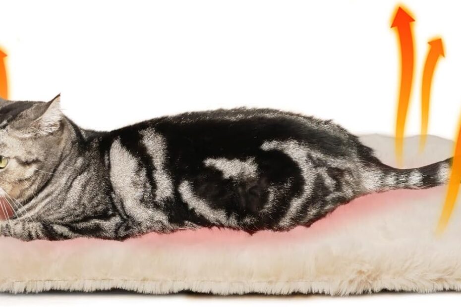 Cozy Comfort: Review of the Self Warming Cat Mat and Pet Heating Pad