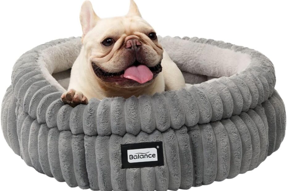 Cozy Comfort: The BALANCE Washable Cat Bed Review for Happy Paws!