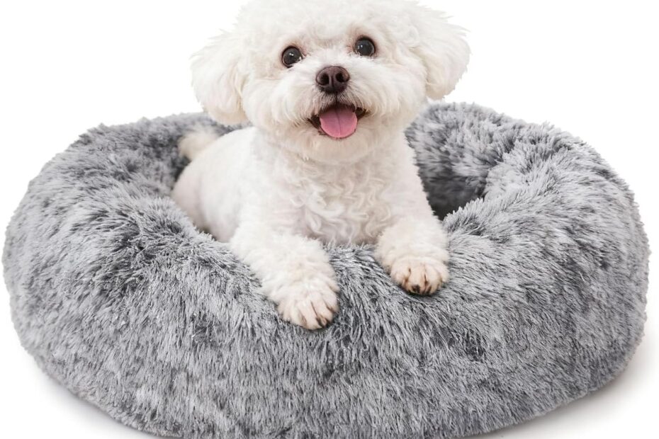 Cozy Comfort: The Best Calming Donut Bed for Small Dogs and Cats