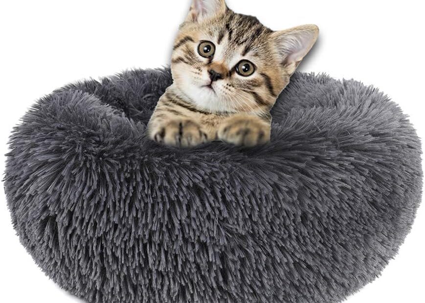 Cozy Comfort: The Otoez Anti-Anxiety Donut Bed for Cats and Puppies