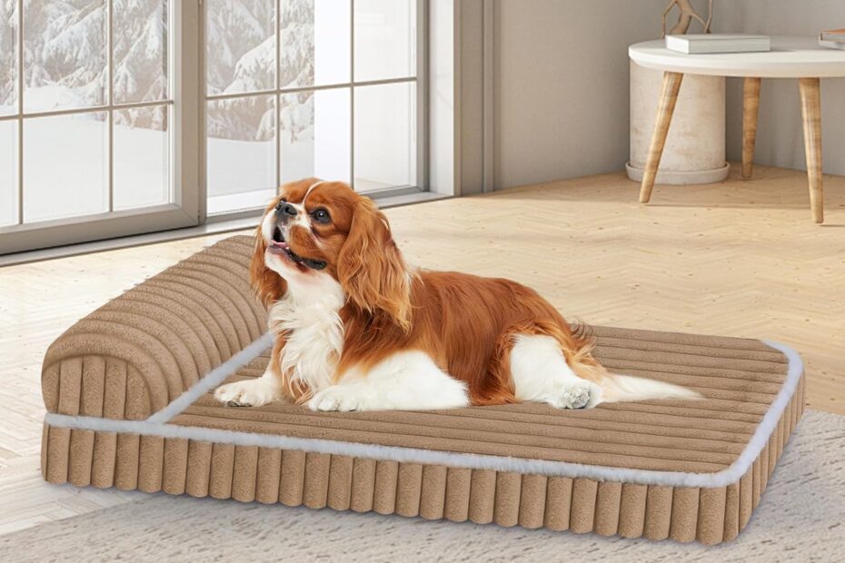 Cozy Comfort: Top-Rated Dog Beds for Medium Pups Reviewed!