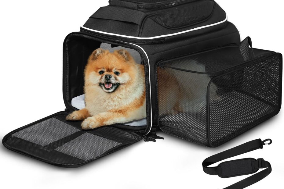 Discover Comfort and Safety: The Petskd Expandable Pet Carrier Review