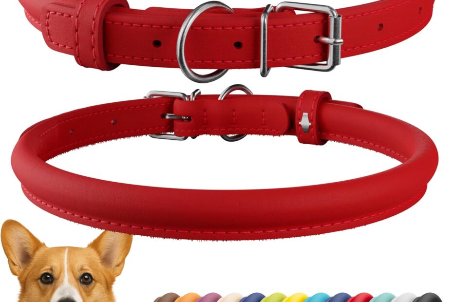 Discover Comfort and Style: The CollarDirect Rolled Leather Dog Collar Review