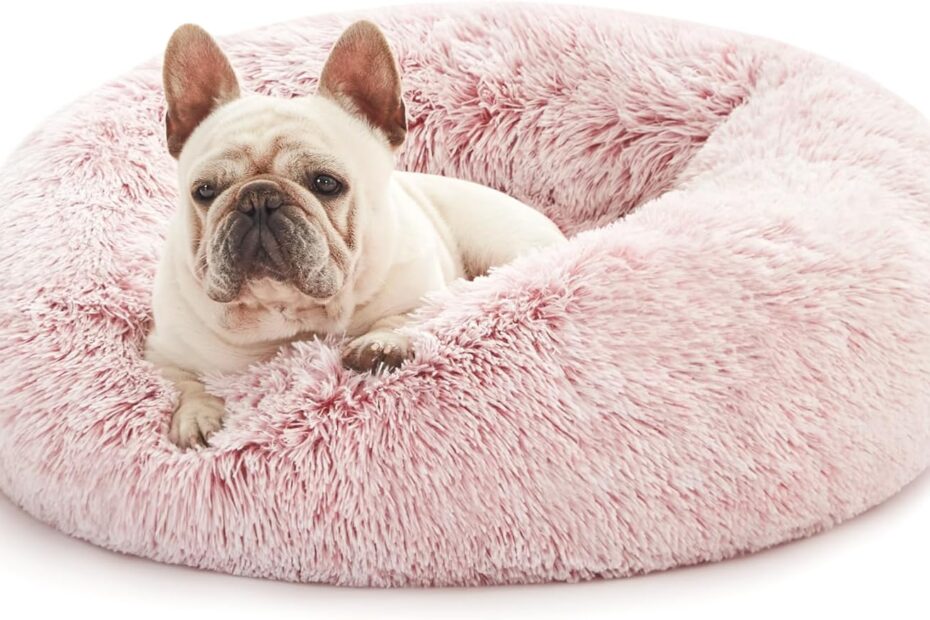 Discover Serenity: Love's Cabin Calming Cat Bed Review