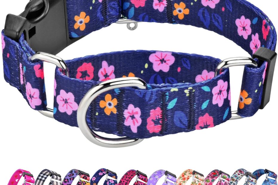 Discover the Best Martingale Collars: Stylish Comfort for Every Dog Size!