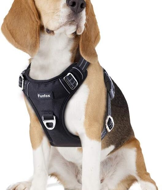 Discover the Comfort and Control of the Funfox No Pull Dog Harness!