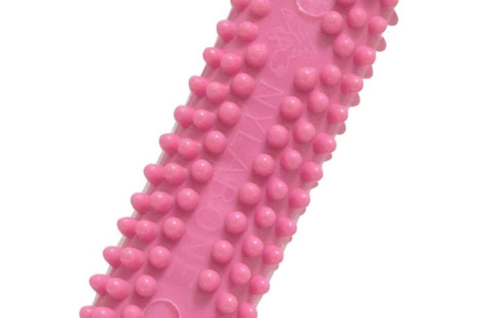 Discover the Nylabone Teething Bone: Perfect Relief for Your Puppy!