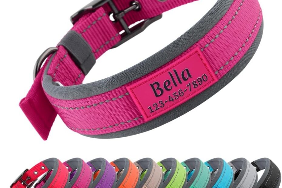 Discover the Perfect Personalized Dog Collar: Safety Meets Style!