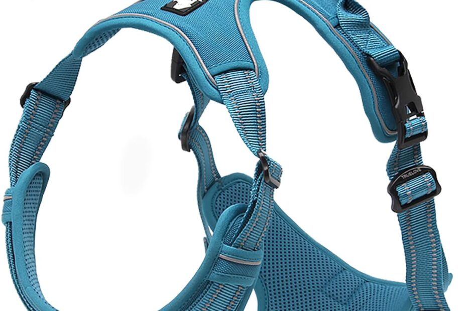 Discover the Truelove No-Pull Dog Harness: Comfort & Control in Stunning Colors!