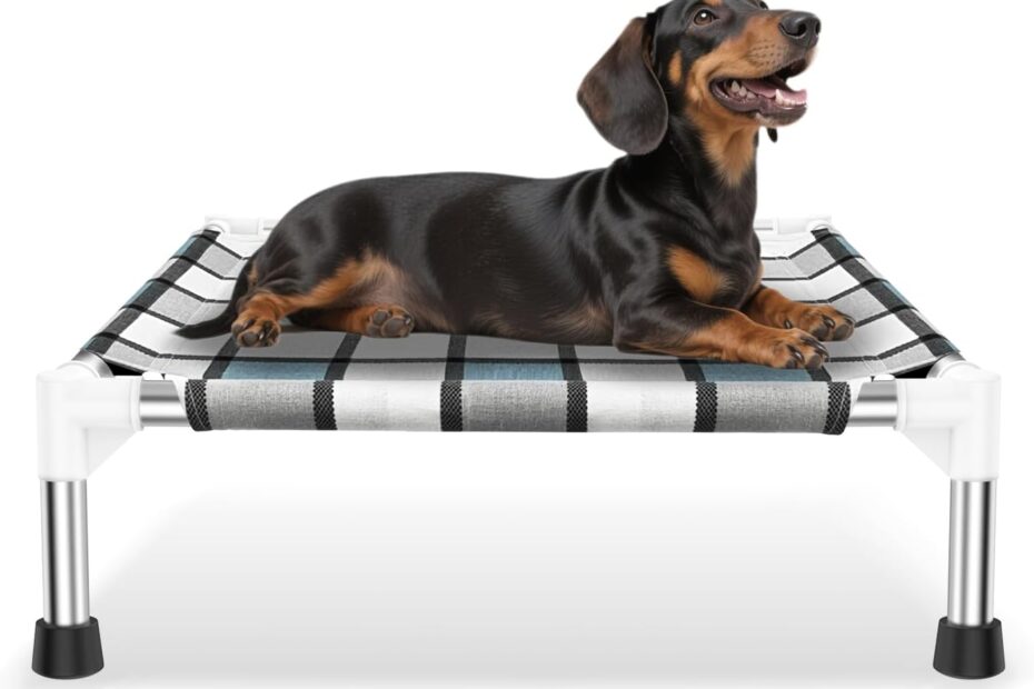 Discover Ultimate Comfort: The Elevated Outdoor Raised Dog Bed Review