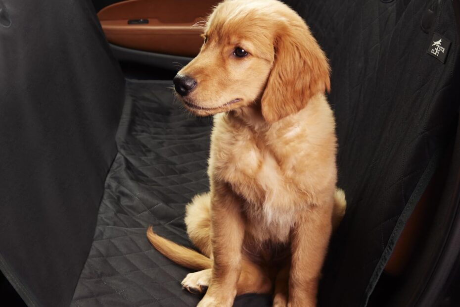 Drive in Comfort: Review of the Active Pets Waterproof Dog Car Hammock