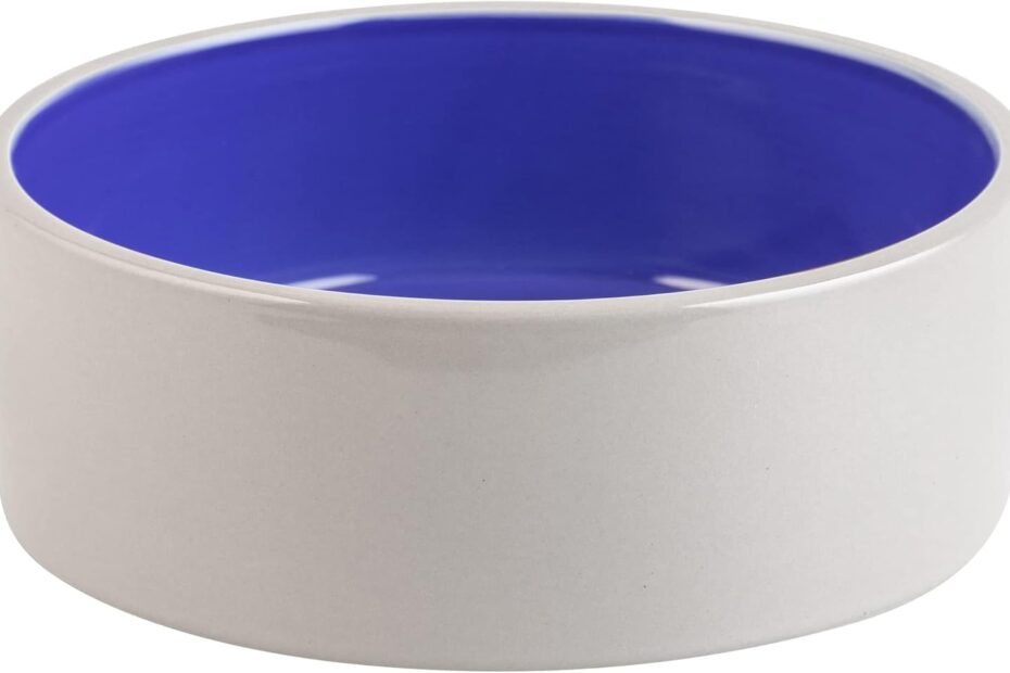 Durable and Stylish: SPOT Ceramic Stoneware Pet Bowl Review for Medium and Large Dogs