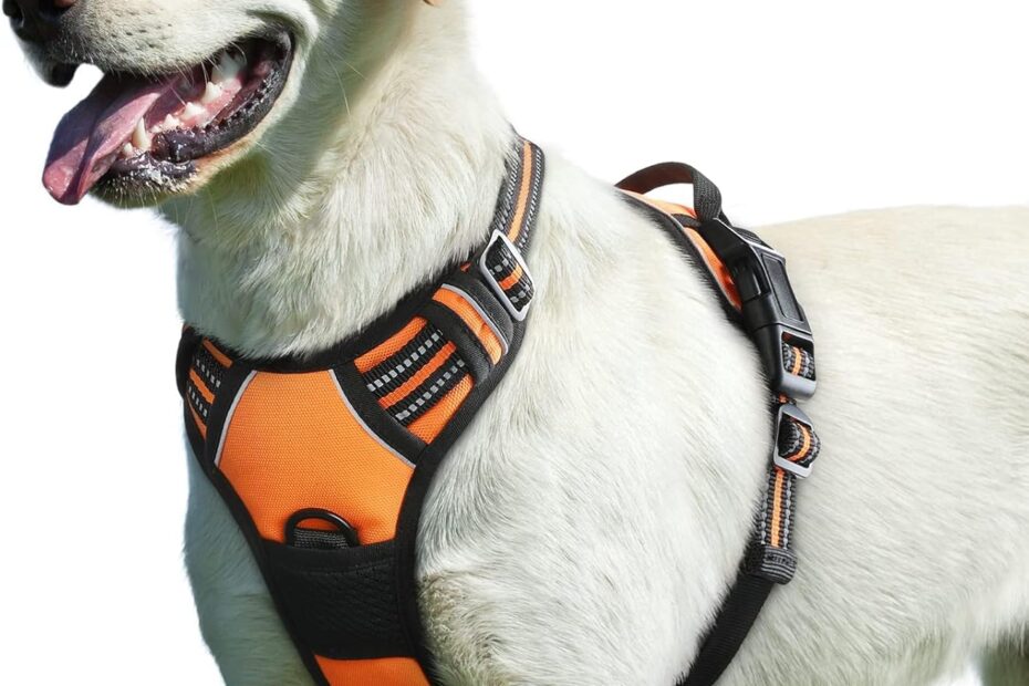 Eagloo Dog Harness Review: The Ultimate No-Pull Solution for Large Breeds!