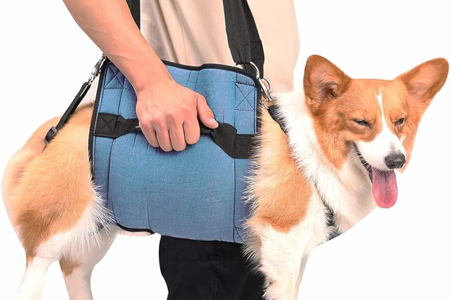 Easily Lift Your Pup: Review of the COODEO Dog Carry Sling for Senior Dogs