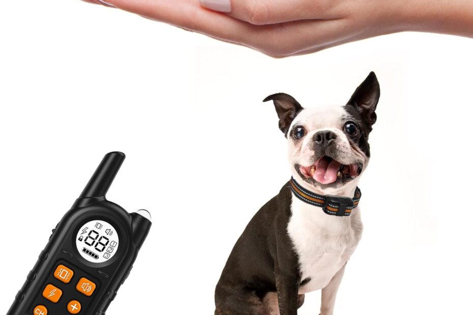 Effective Training Made Easy: The Tiniest Dog Shock Collar Review
