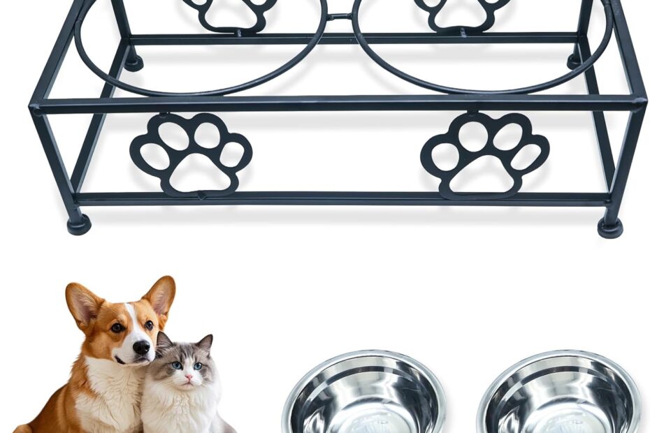 Elevate Mealtime: A Review of the Stylish Raised Pet Feeder for Dogs and Cats