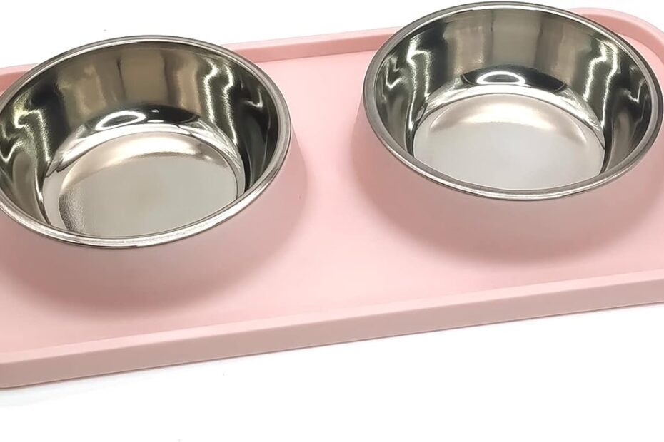 Elevate Mealtime: BNOSDM Double Dog Bowls Review for Happy Pets!