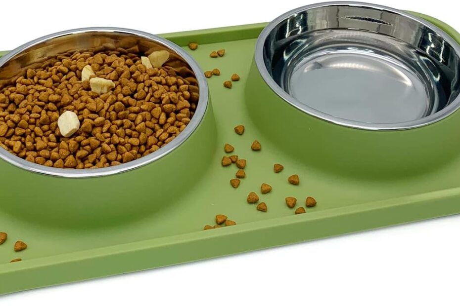 Elevate Mealtime: BNOSDM Double Dog Food Bowls Review for Happy Pets!