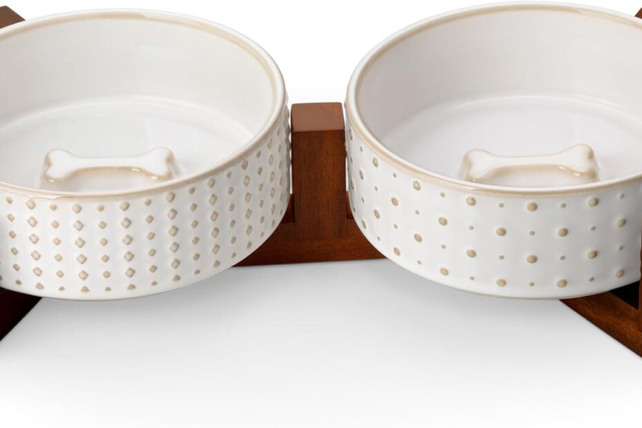 Elevate Mealtime: MALACASA Stylish Dog Bowl Set Review