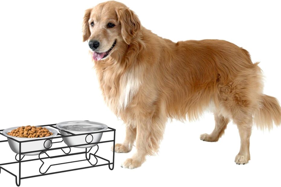 Elevate Mealtime: Review of PETMAKER Stainless Steel Dog Bowls with Stand