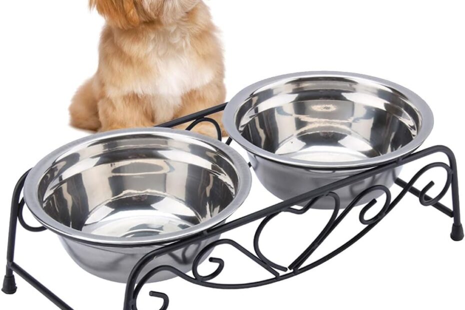 Elevate Mealtime: Review of Small Dog Bowls with Stand for Pups and Kittens